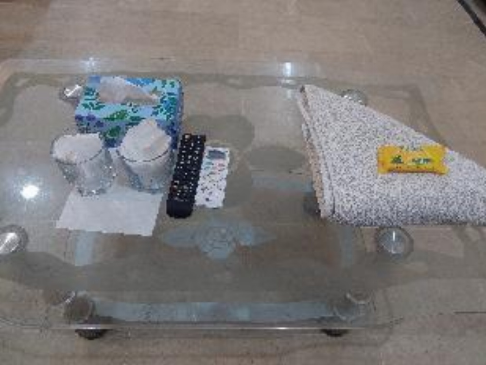 Guest house Shayan Residency